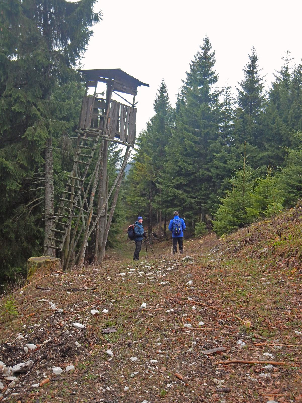 Türnitzer Höger, Tirolerkogel (183 Bildaufrufe)