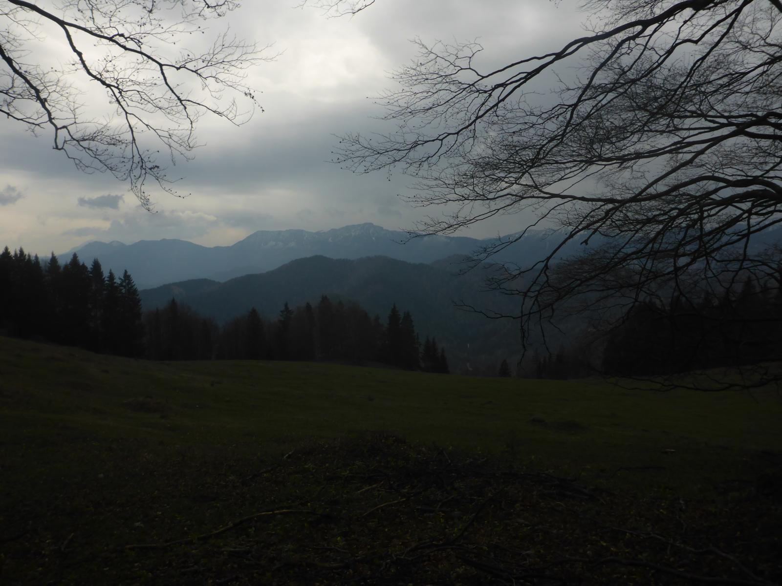 Türnitzer Höger, Tirolerkogel (253 Bildaufrufe)