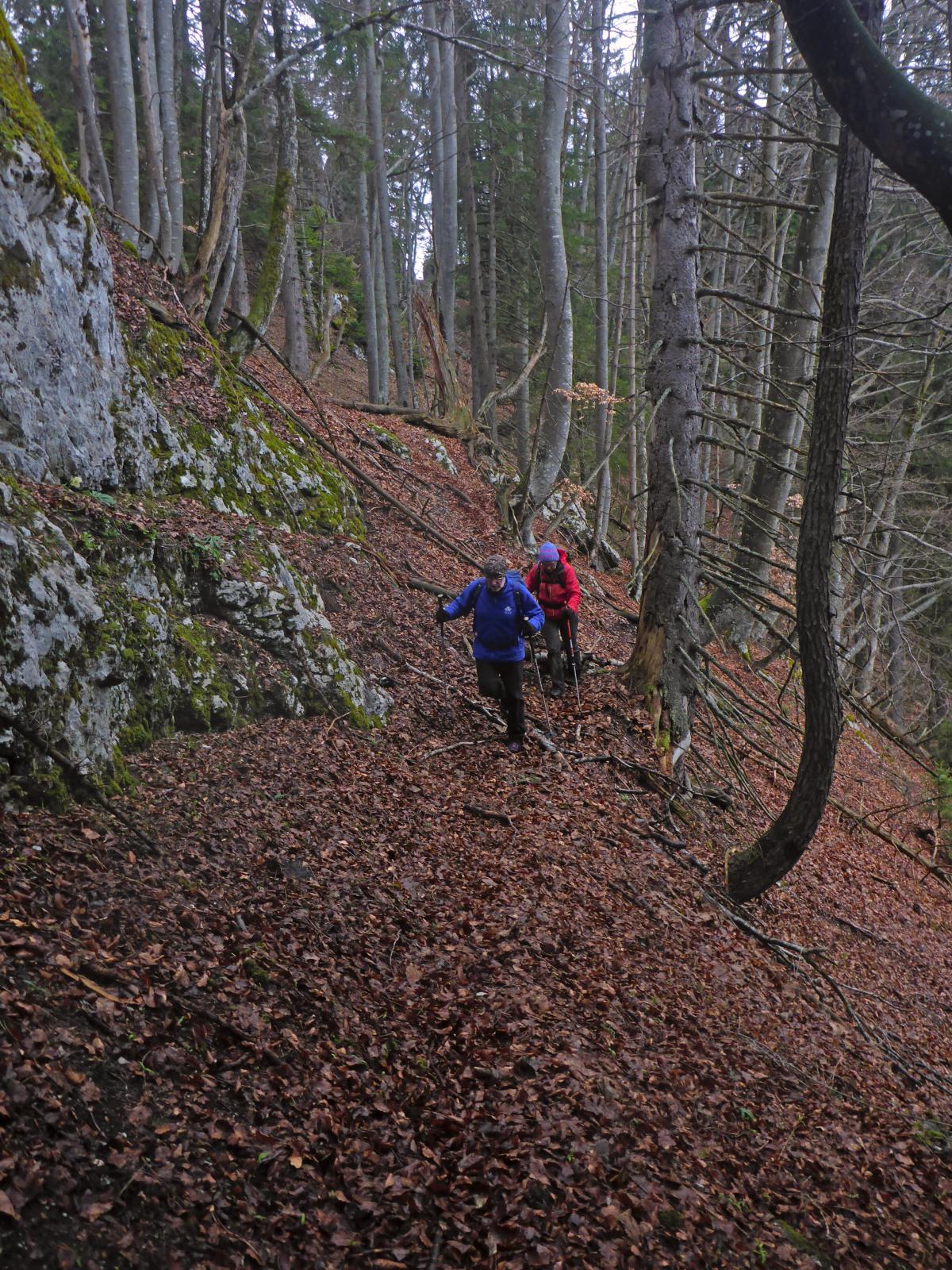 Türnitzer Höger, Tirolerkogel (190 Bildaufrufe)
