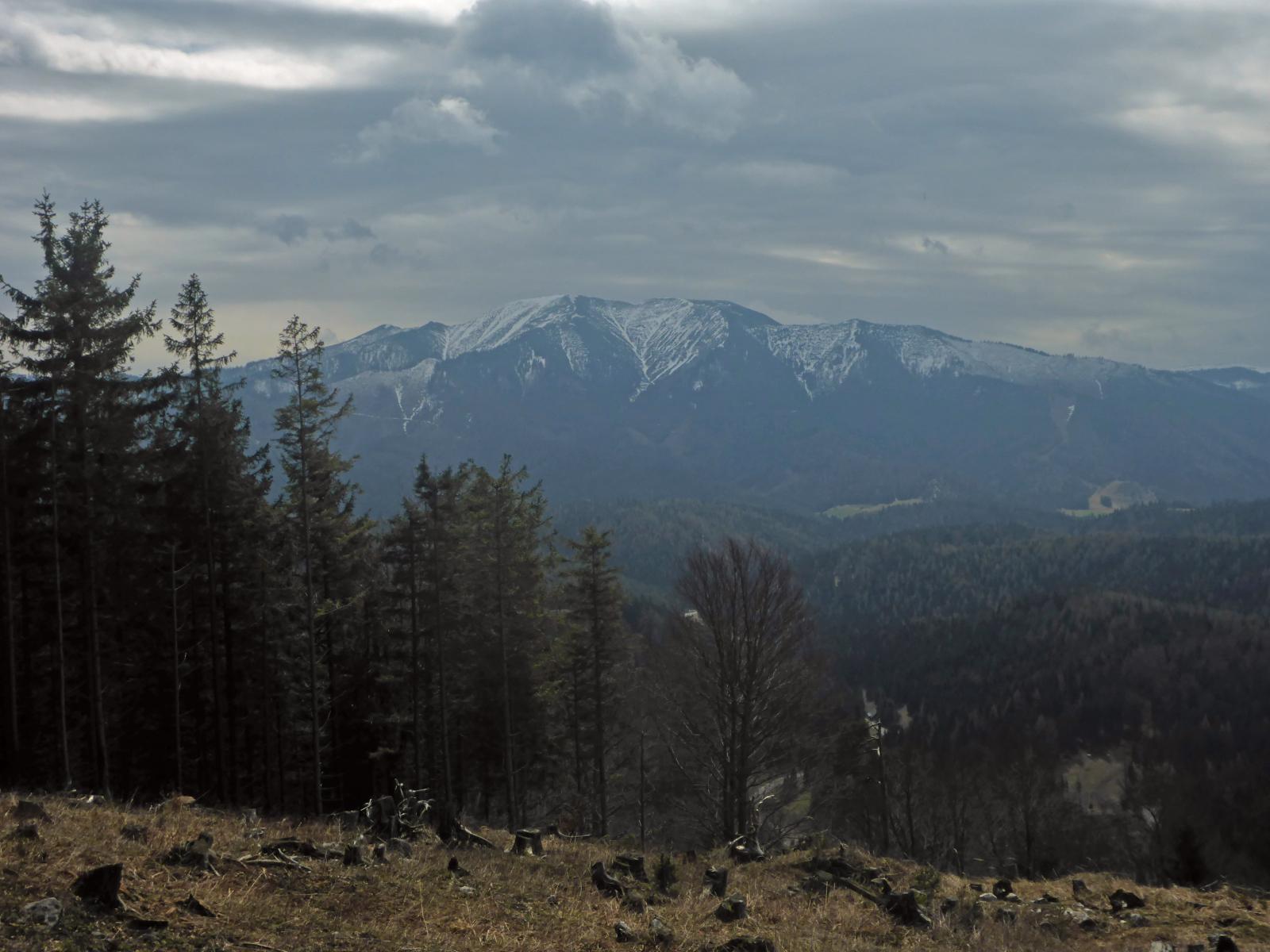 Türnitzer Höger, Tirolerkogel (174 Bildaufrufe)