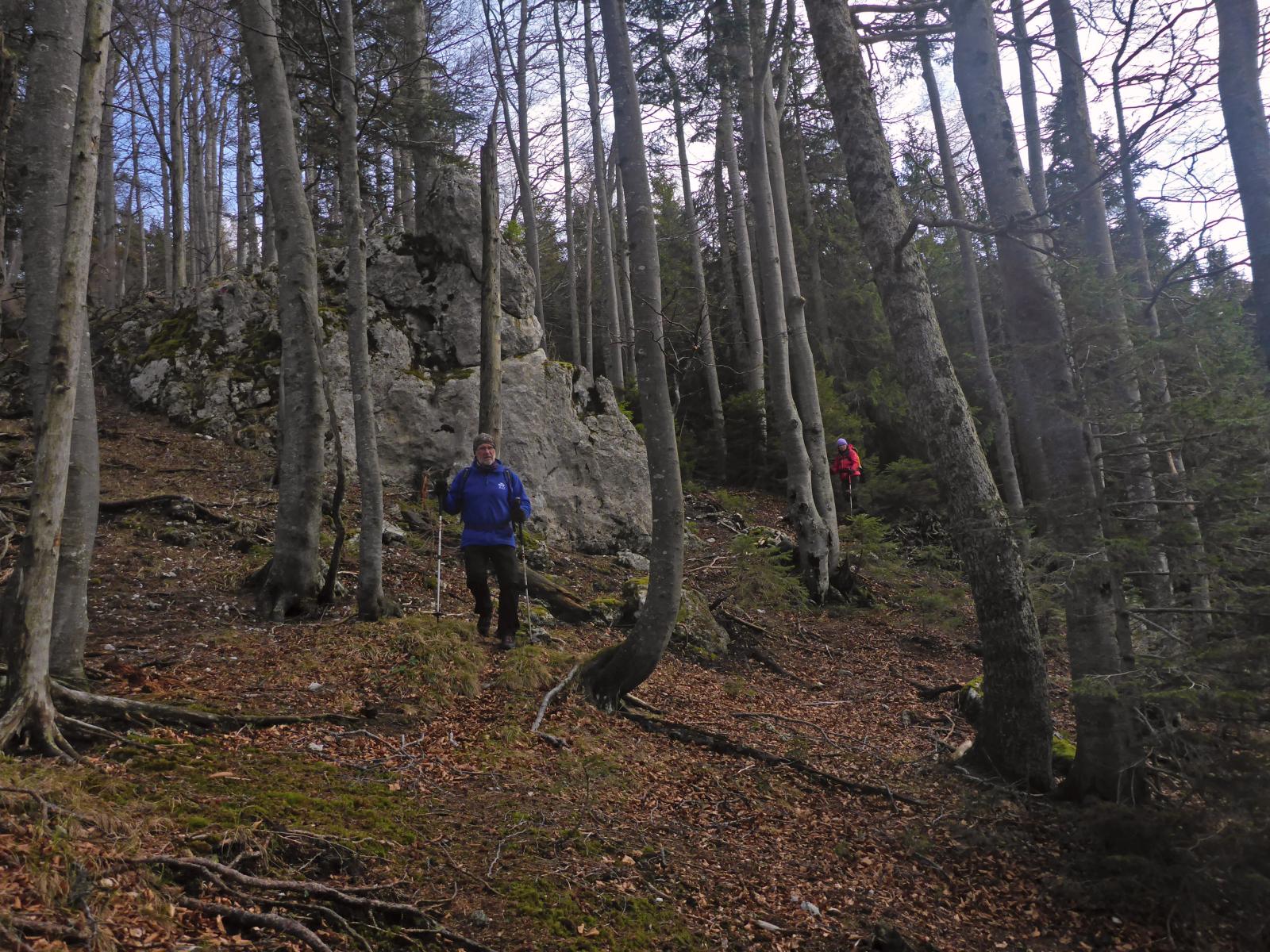 Türnitzer Höger, Tirolerkogel (156 Bildaufrufe)