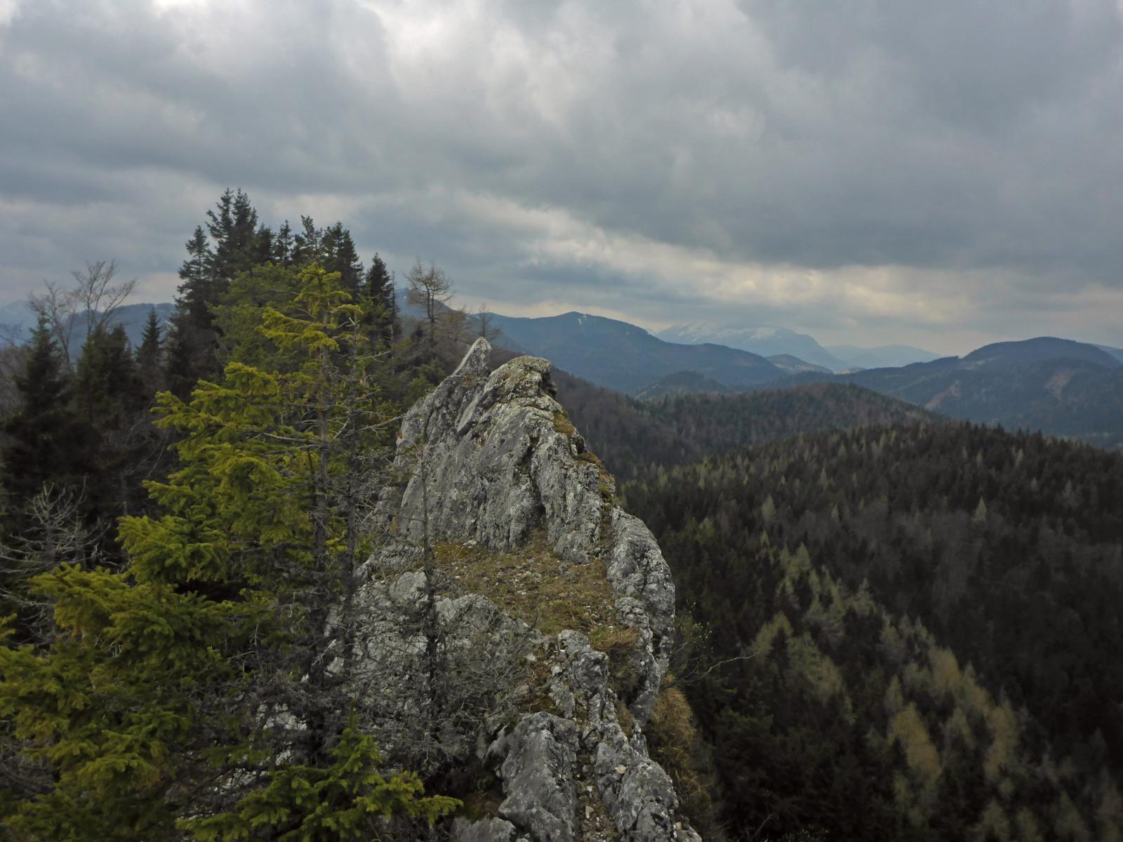 Türnitzer Höger, Tirolerkogel (178 Bildaufrufe)