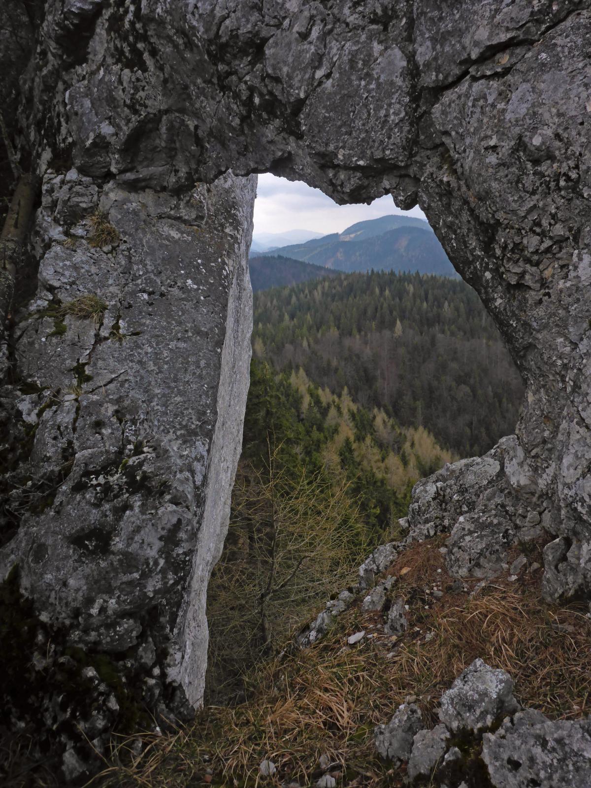 Türnitzer Höger, Tirolerkogel (155 Bildaufrufe)