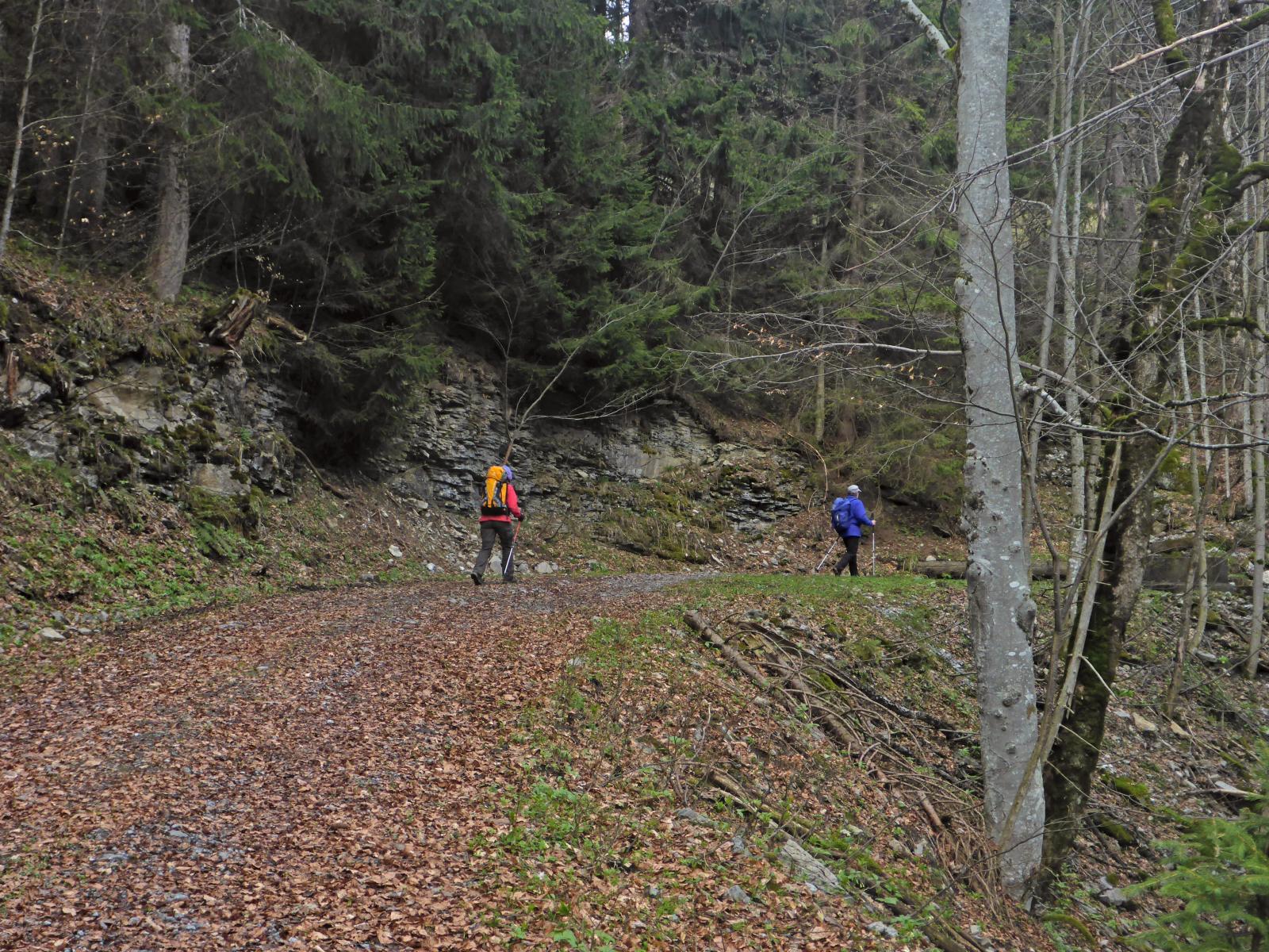 Türnitzer Höger, Tirolerkogel (177 Bildaufrufe)