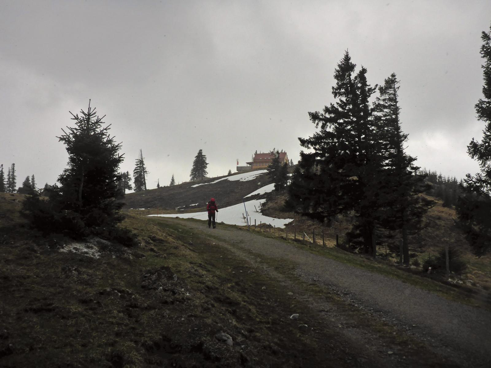 T&uuml;rnitzer H&ouml;ger, Tirolerkogel (151 Bildaufrufe)