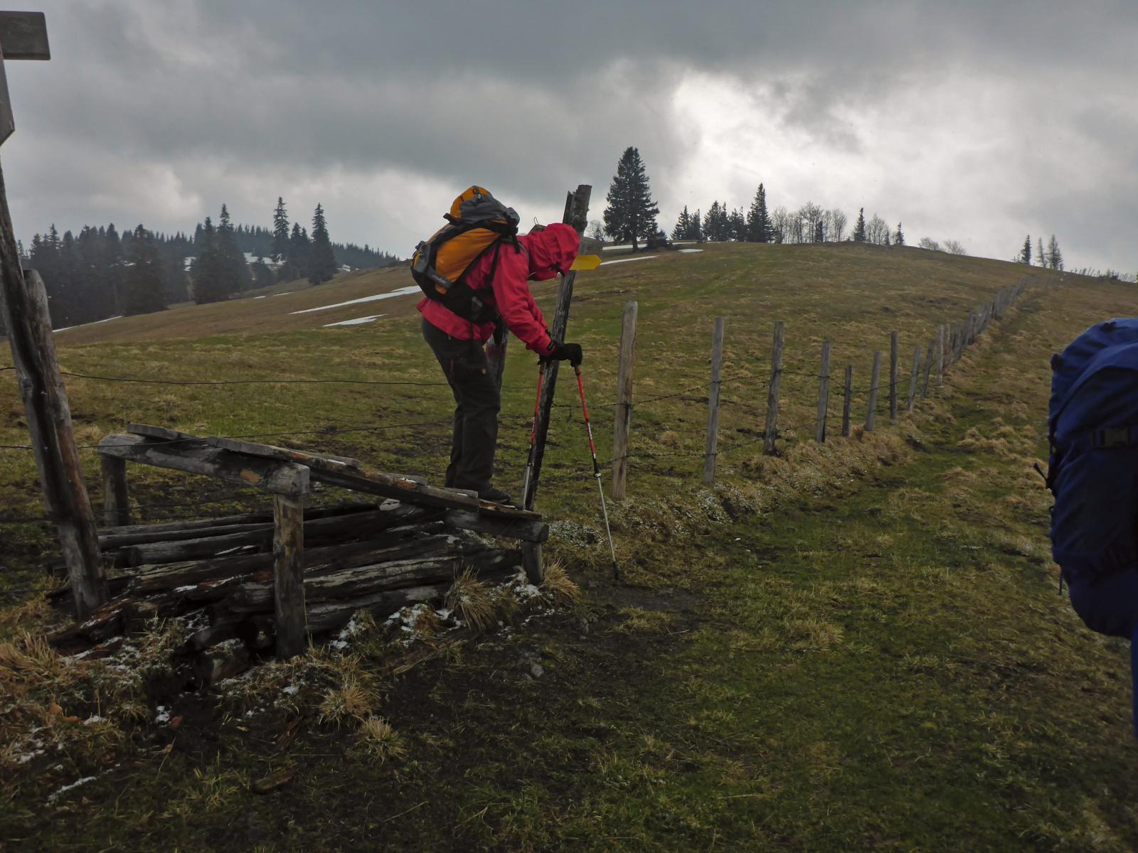 T&uuml;rnitzer H&ouml;ger, Tirolerkogel (189 Bildaufrufe)
