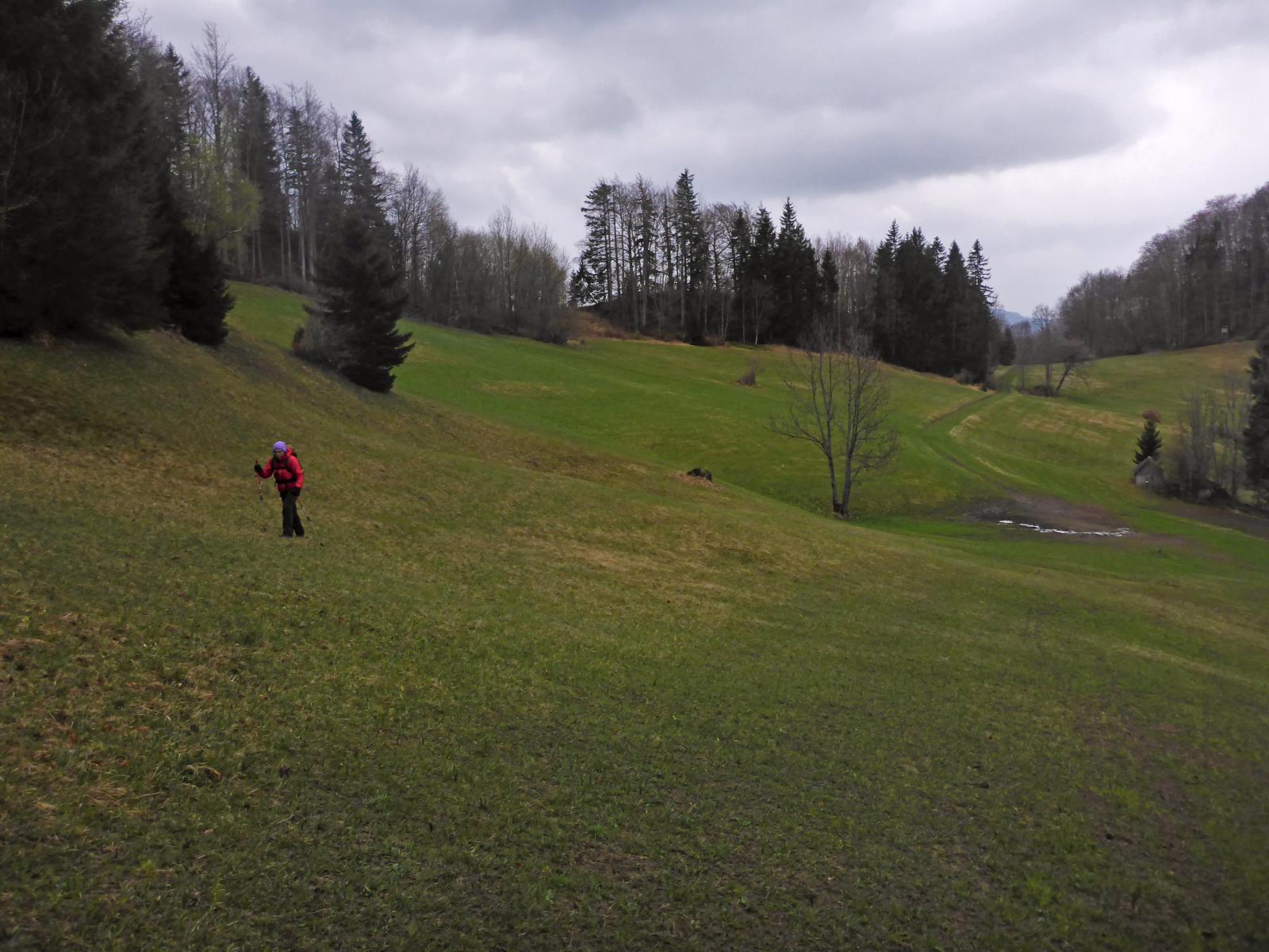 Türnitzer Höger, Tirolerkogel (166 Bildaufrufe)
