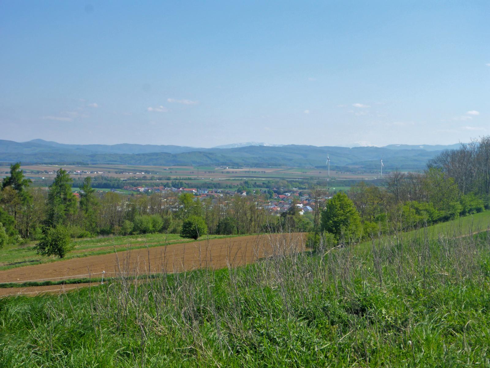 Viehofner Kogel (146 Bildaufrufe)