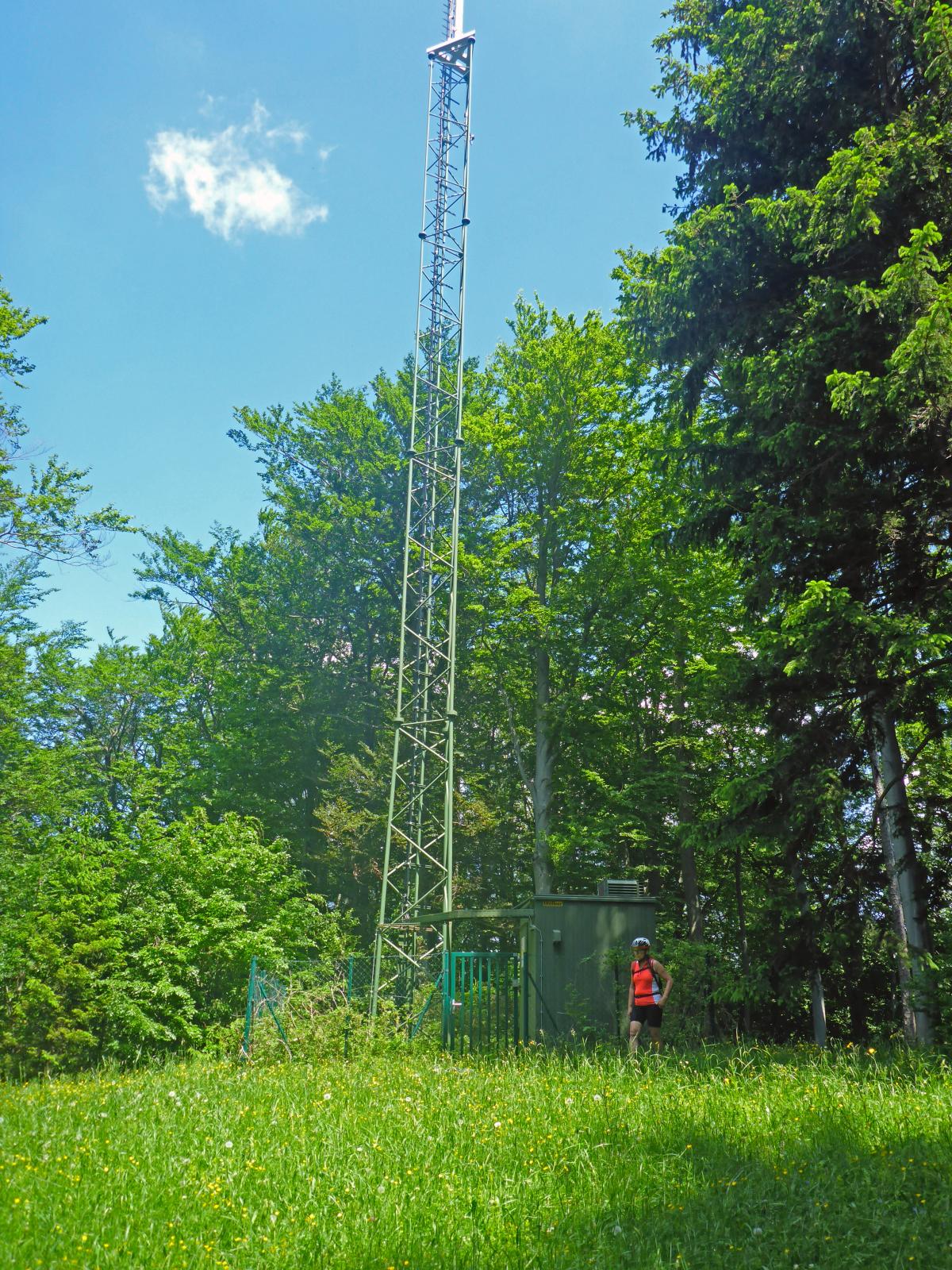 Hinterleitner Kogel (149 Bildaufrufe)