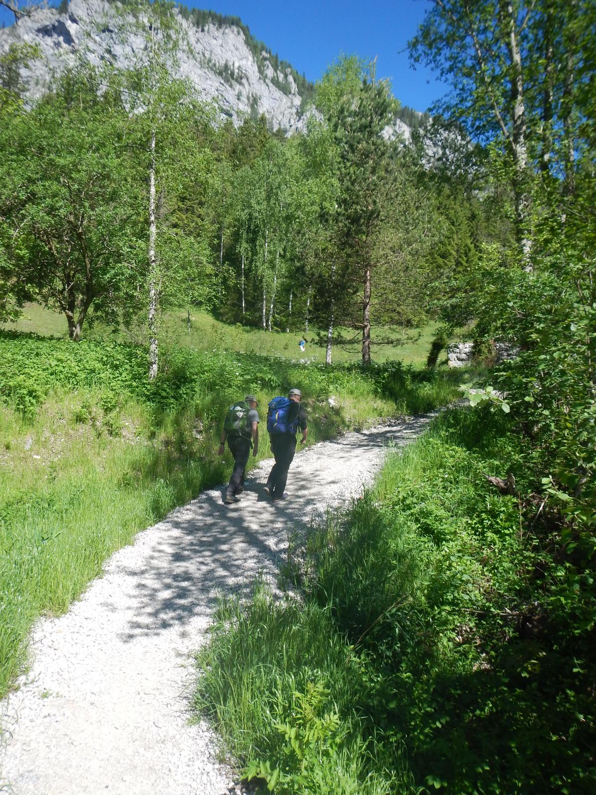 Spielmäuer (168 Bildaufrufe)