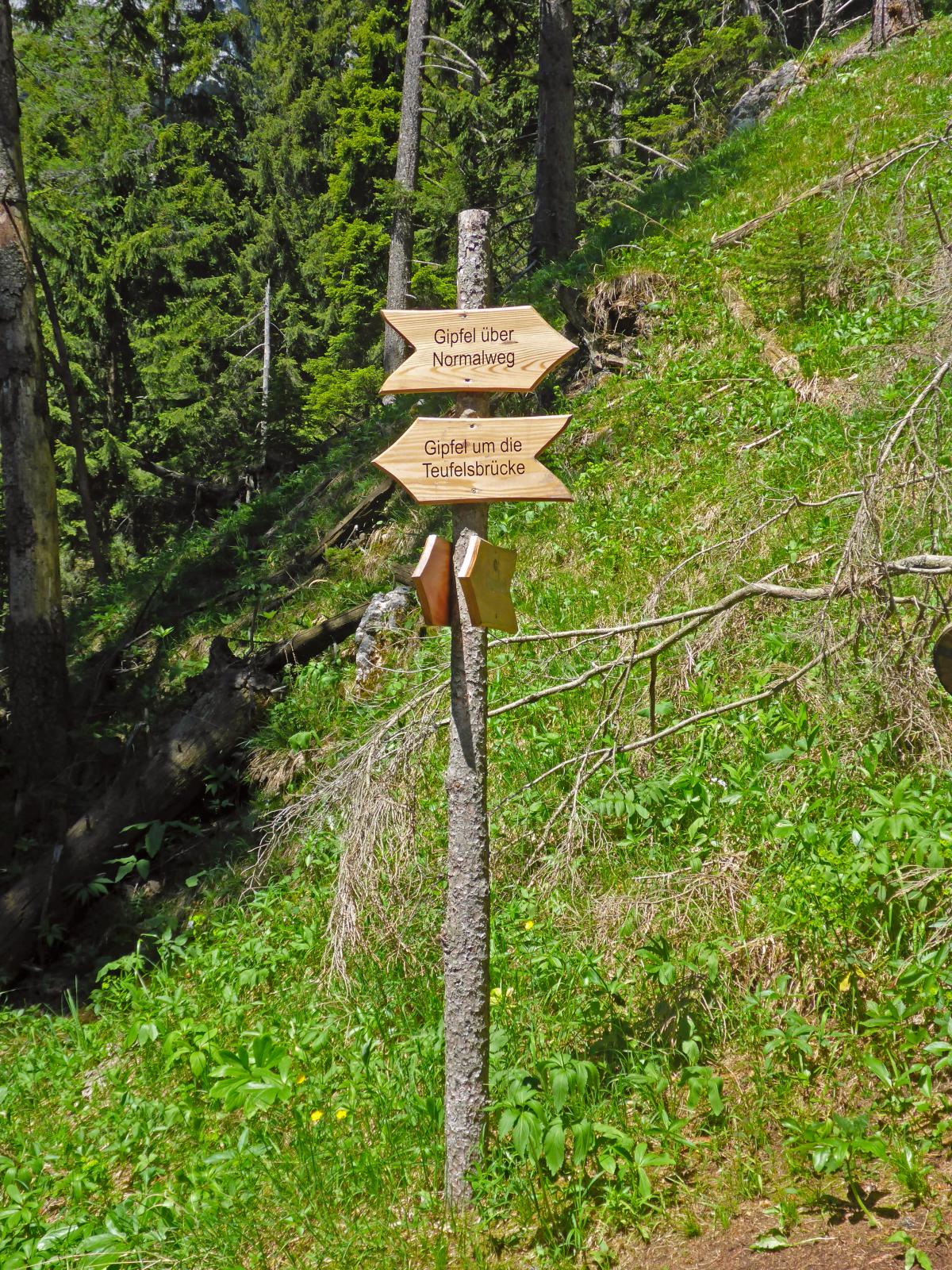 Spielmäuer (169 Bildaufrufe)