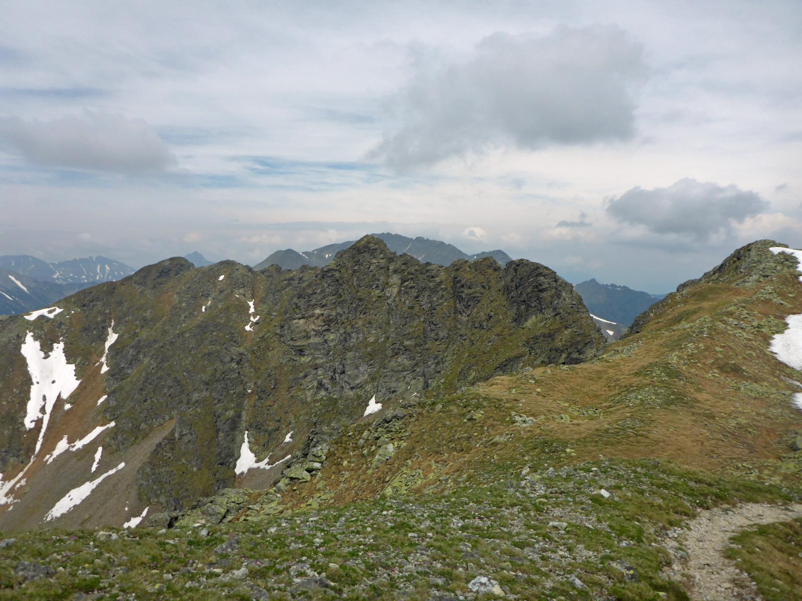 Geierhaupt (353 Bildaufrufe)