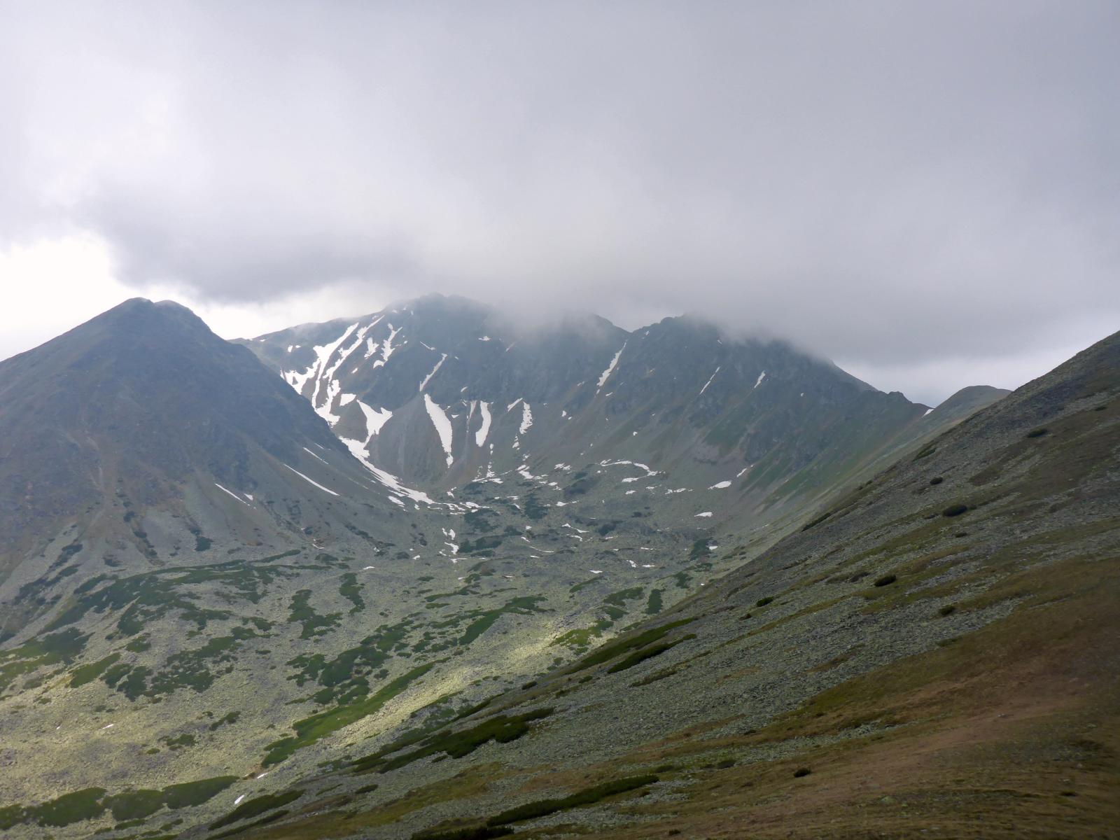 Geierhaupt (356 Bildaufrufe)