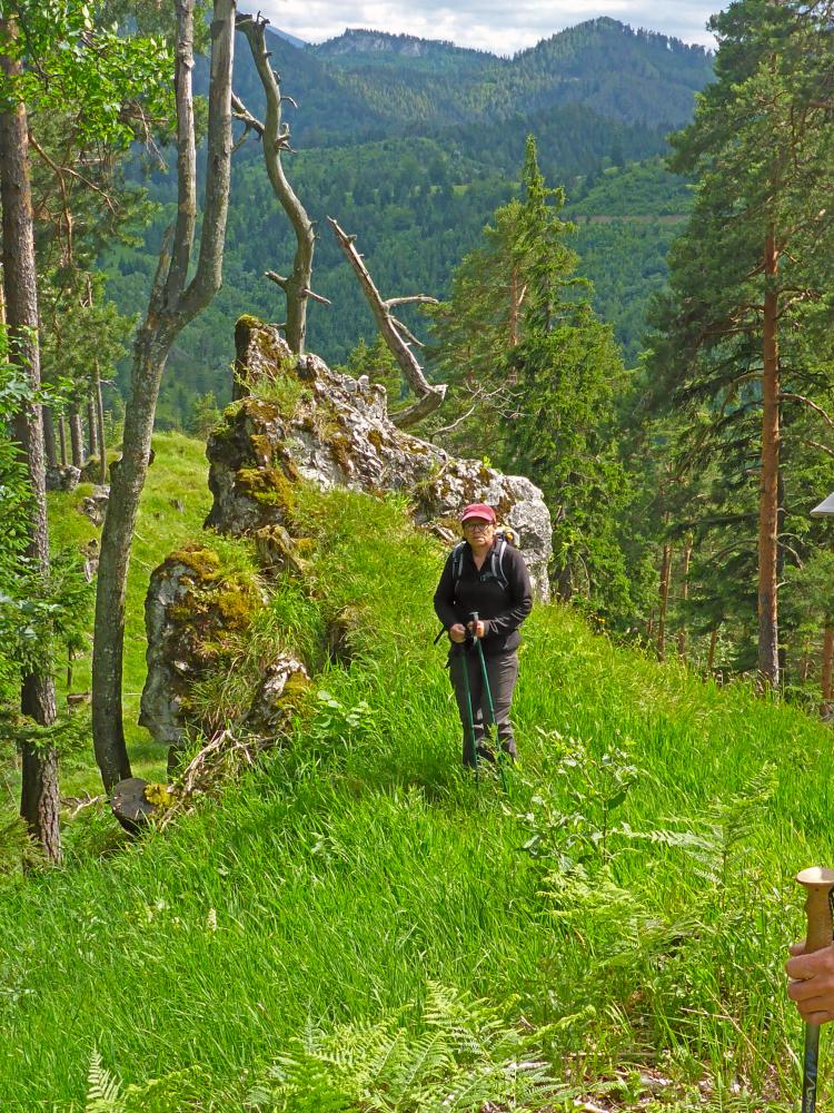 Kleinzeller Gemeindealpe (155 Bildaufrufe)