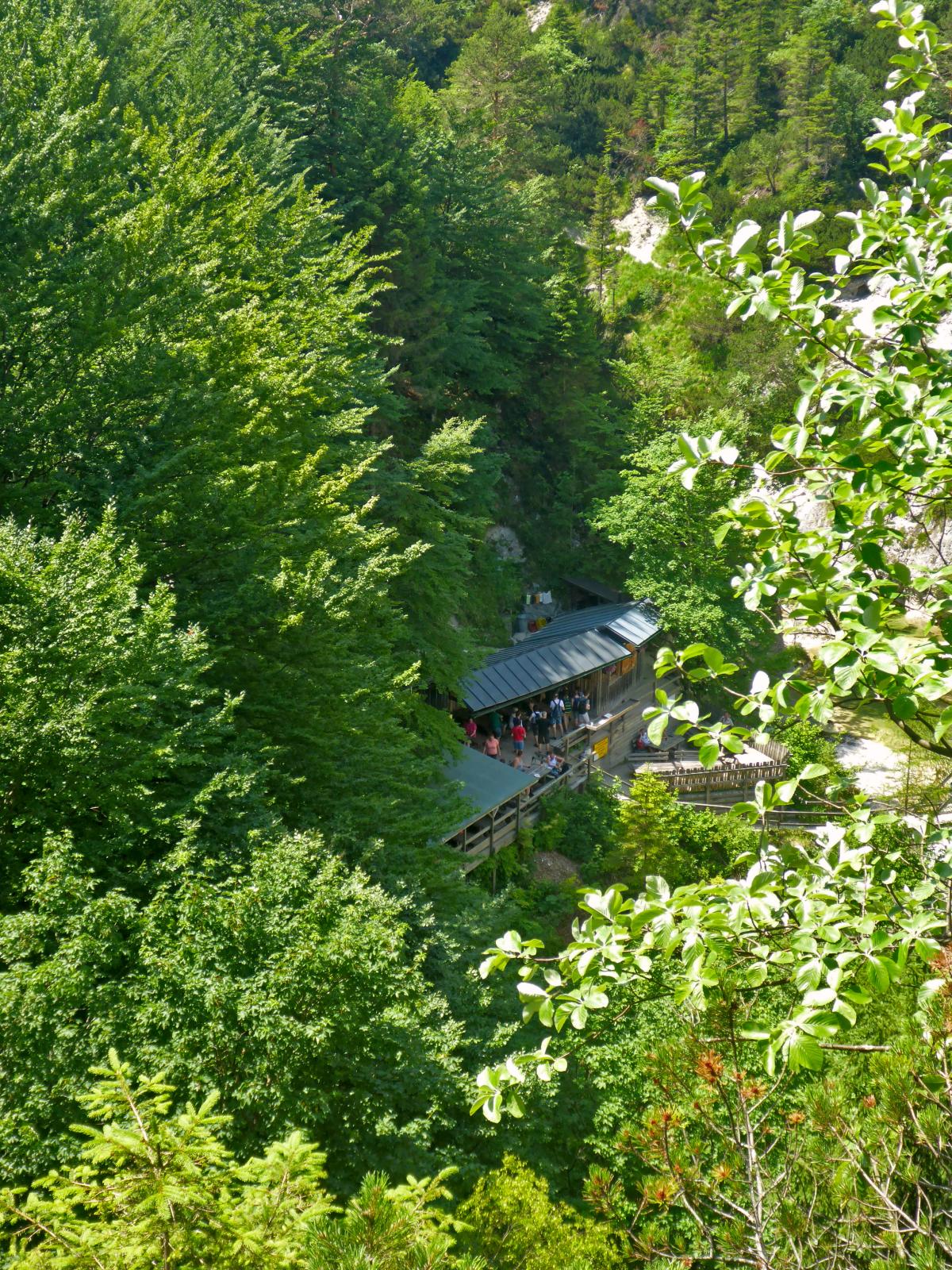 Ötscherhias (239 Bildaufrufe)