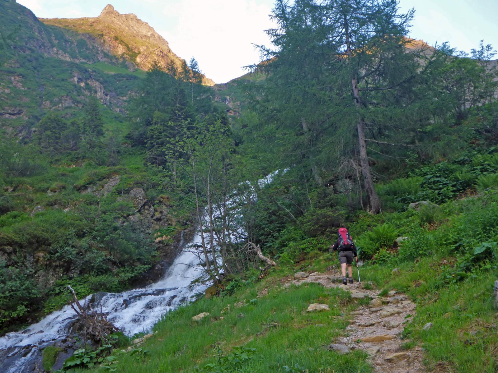Hochgolling (217 Bildaufrufe)