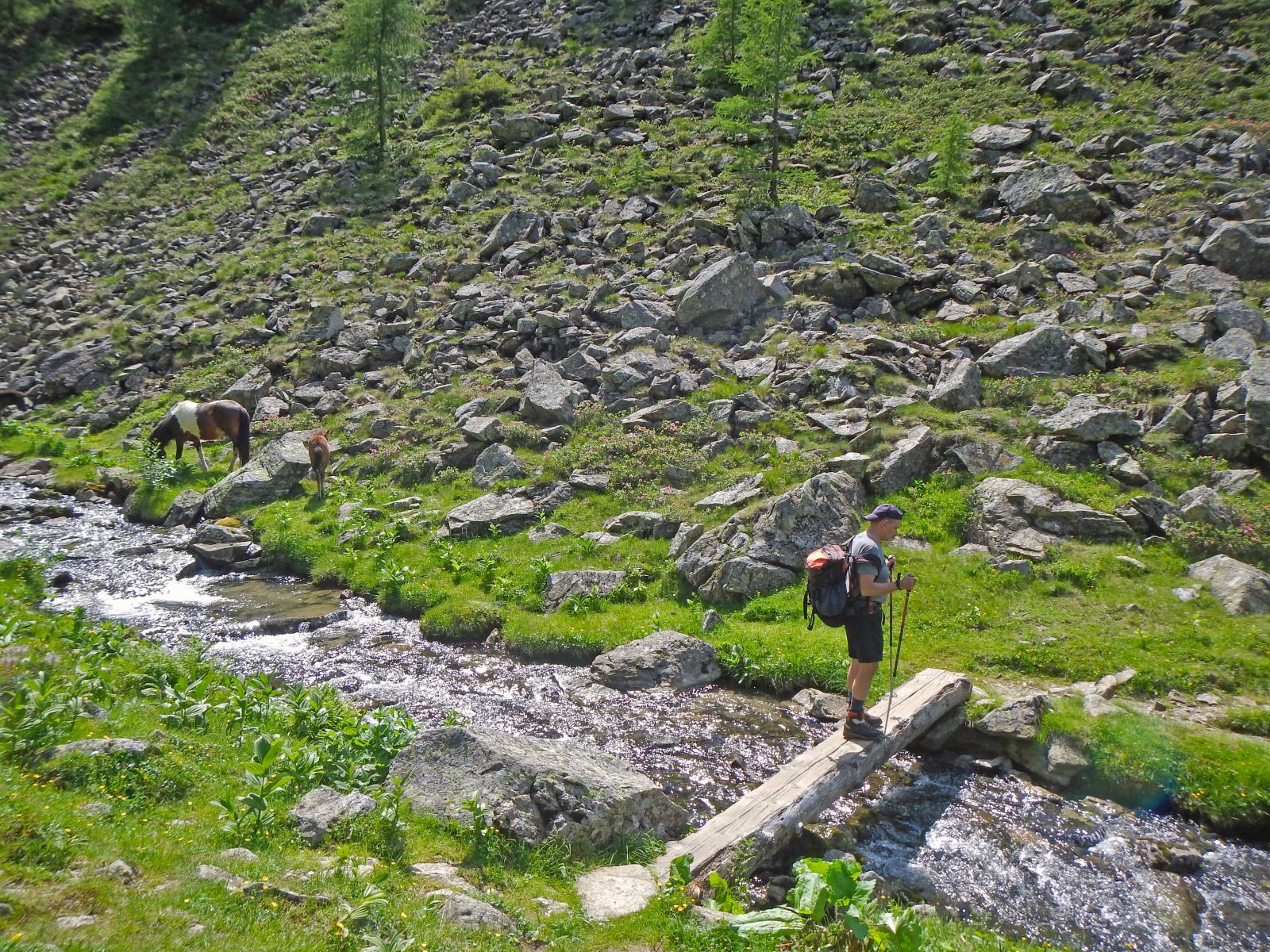 Hochgolling (155 Bildaufrufe)