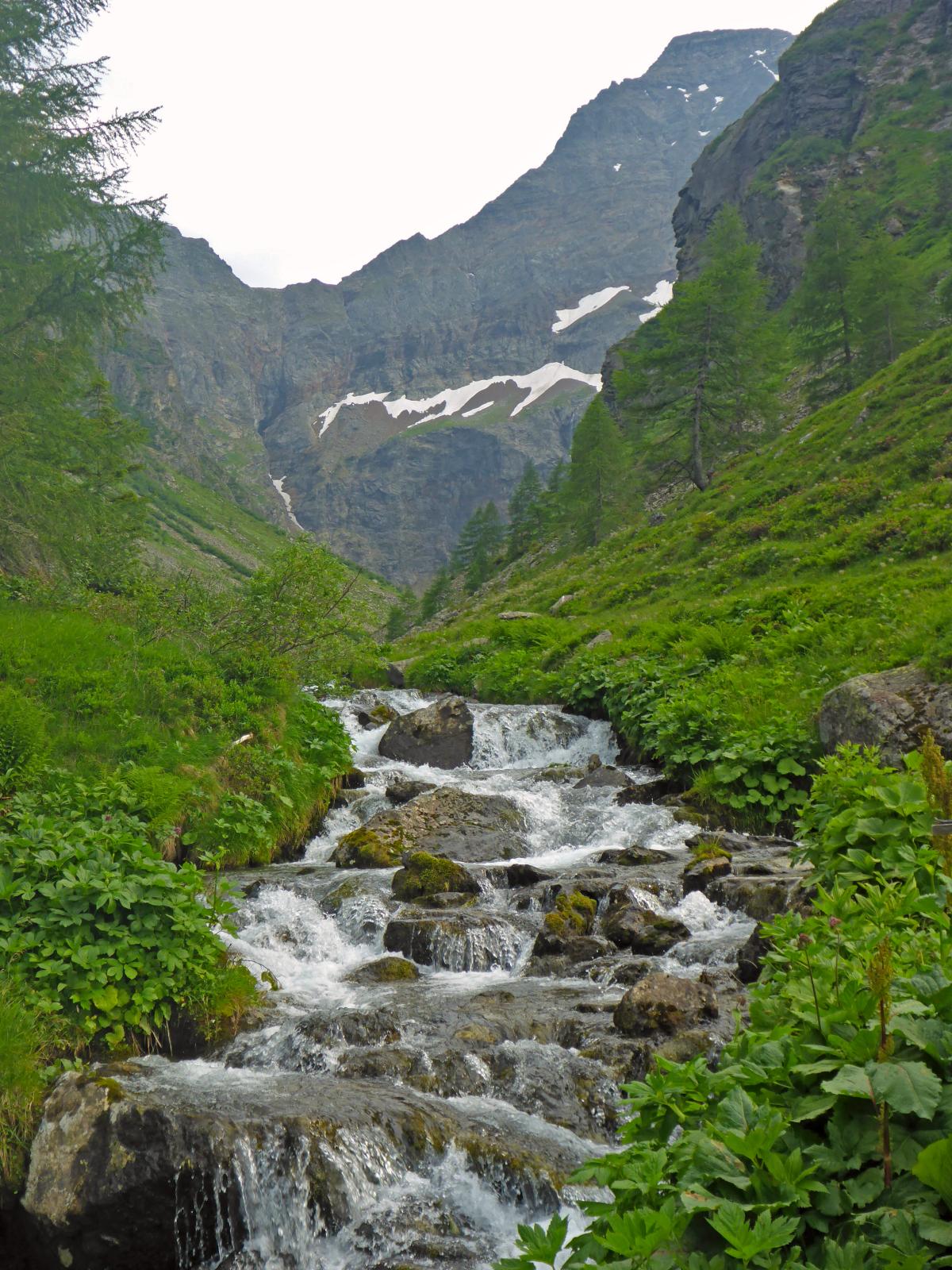 Hochgolling (171 Bildaufrufe)