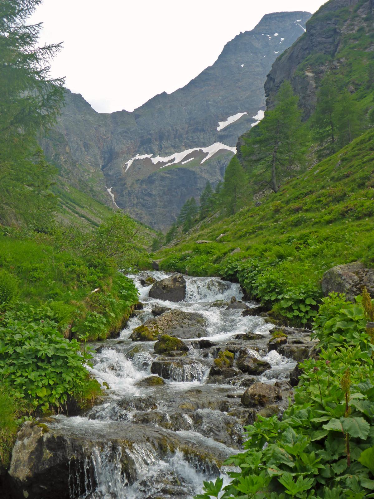 Hochgolling (164 Bildaufrufe)