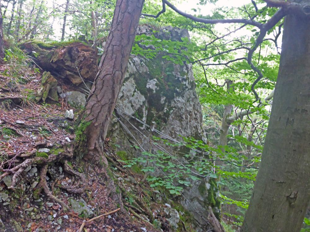 Falkensteinmauer (202 Bildaufrufe)