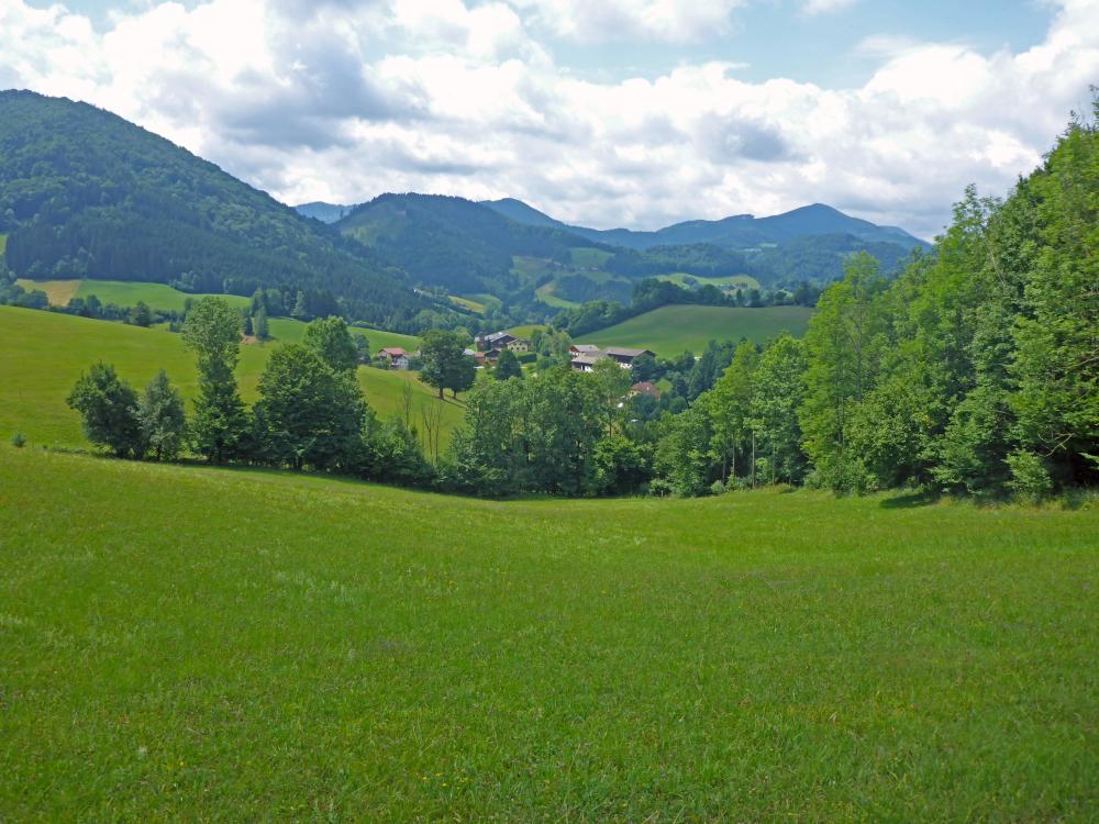 Falkensteinmauer (209 Bildaufrufe)