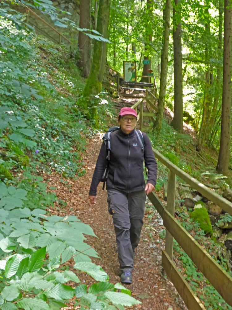 Falkensteinmauer (141 Bildaufrufe)