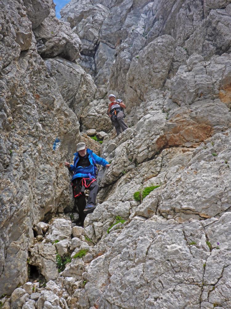 Gr.Buchstein (198 Bildaufrufe)