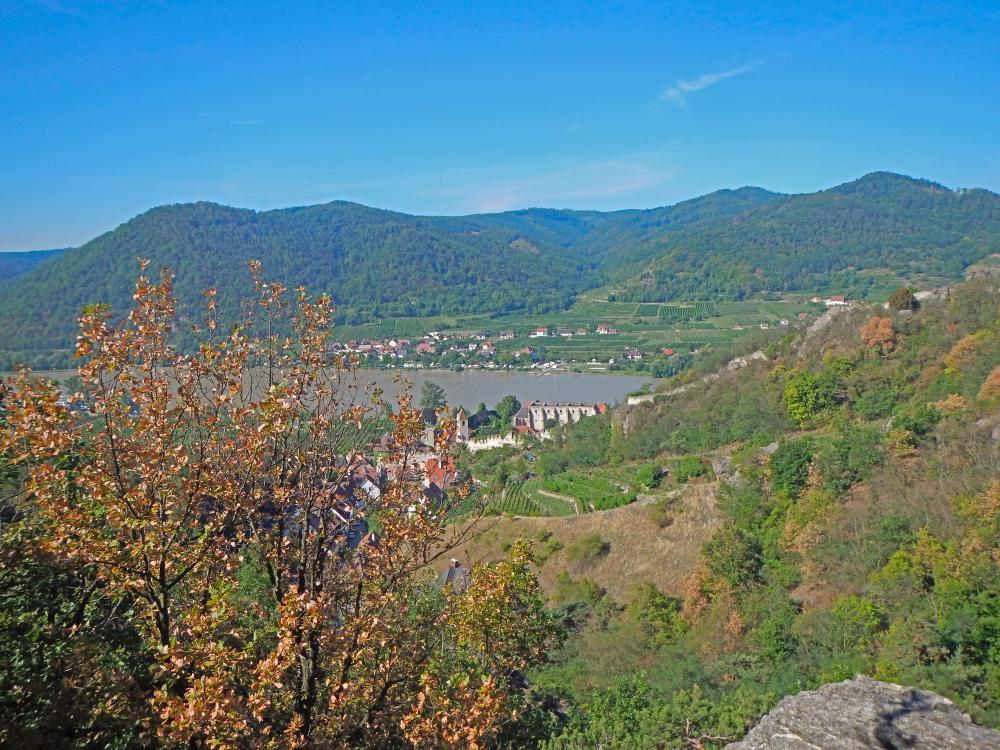 Dürnstein (164 Bildaufrufe)