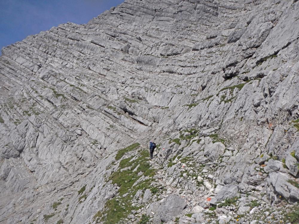 Birnhorn (157 Bildaufrufe)