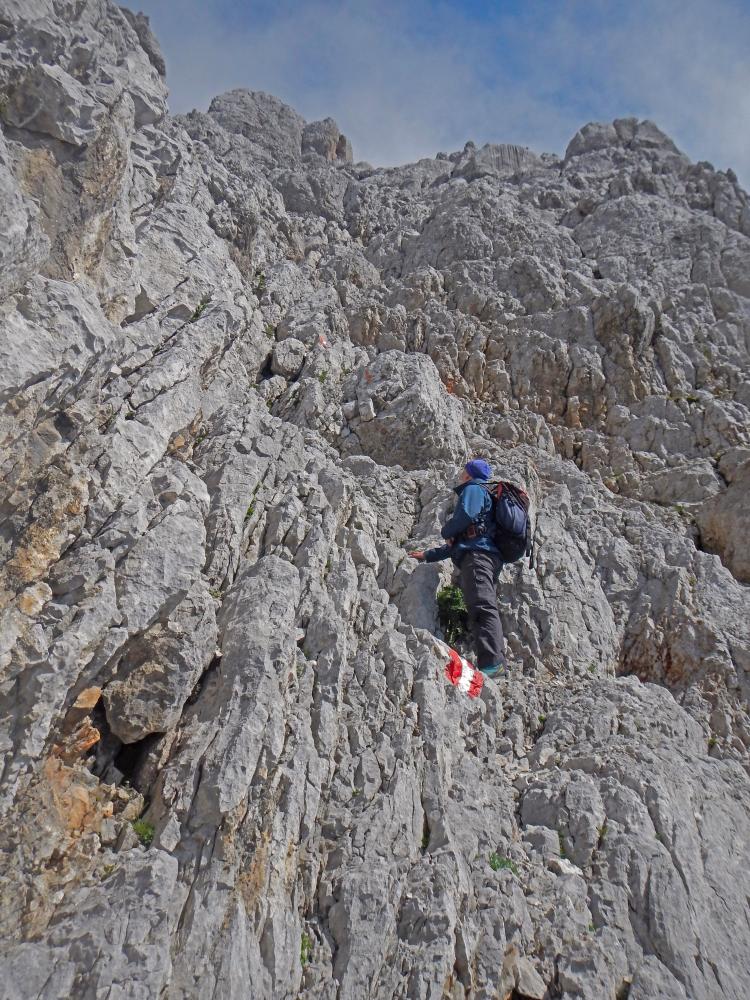 Birnhorn (156 Bildaufrufe)