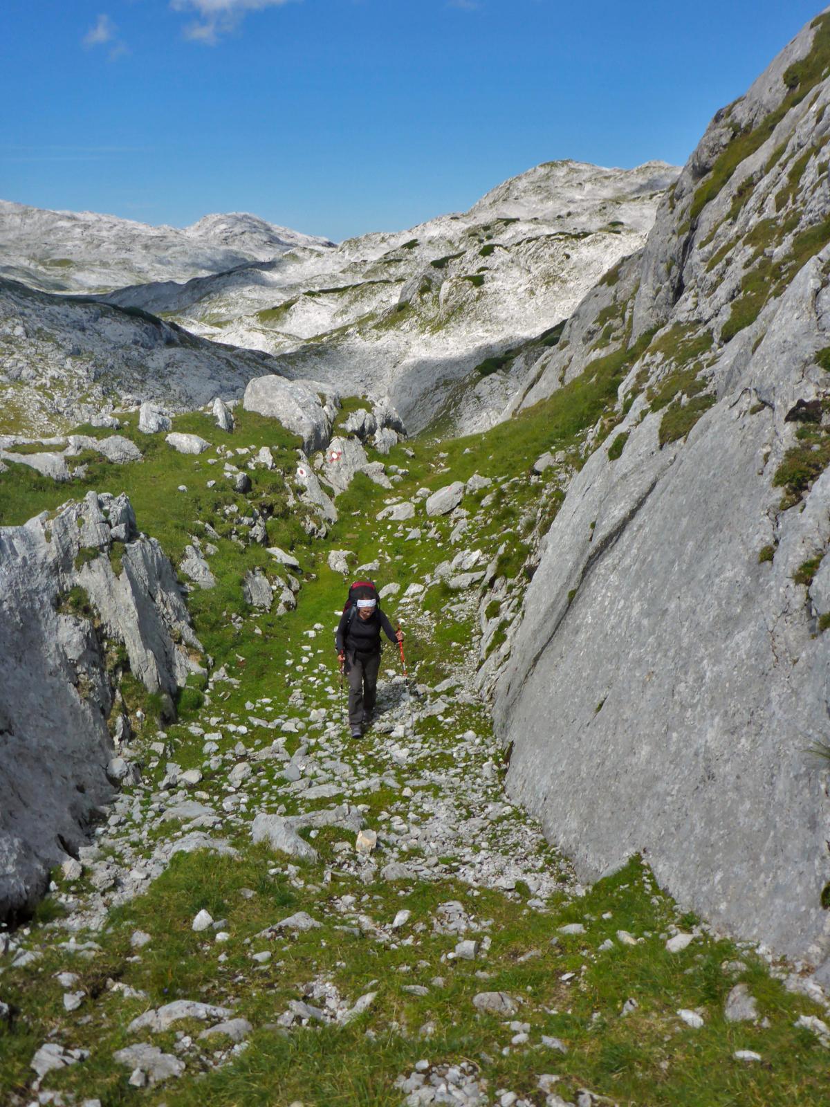 Raucheck (161 Bildaufrufe)