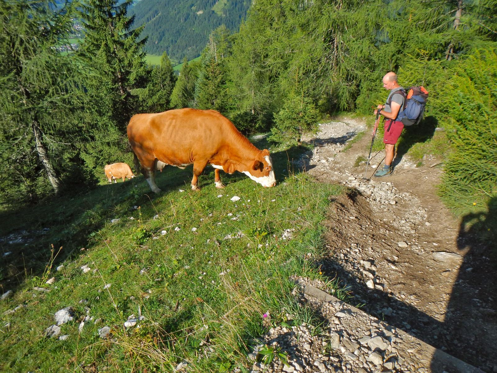 Raucheck (208 Bildaufrufe)