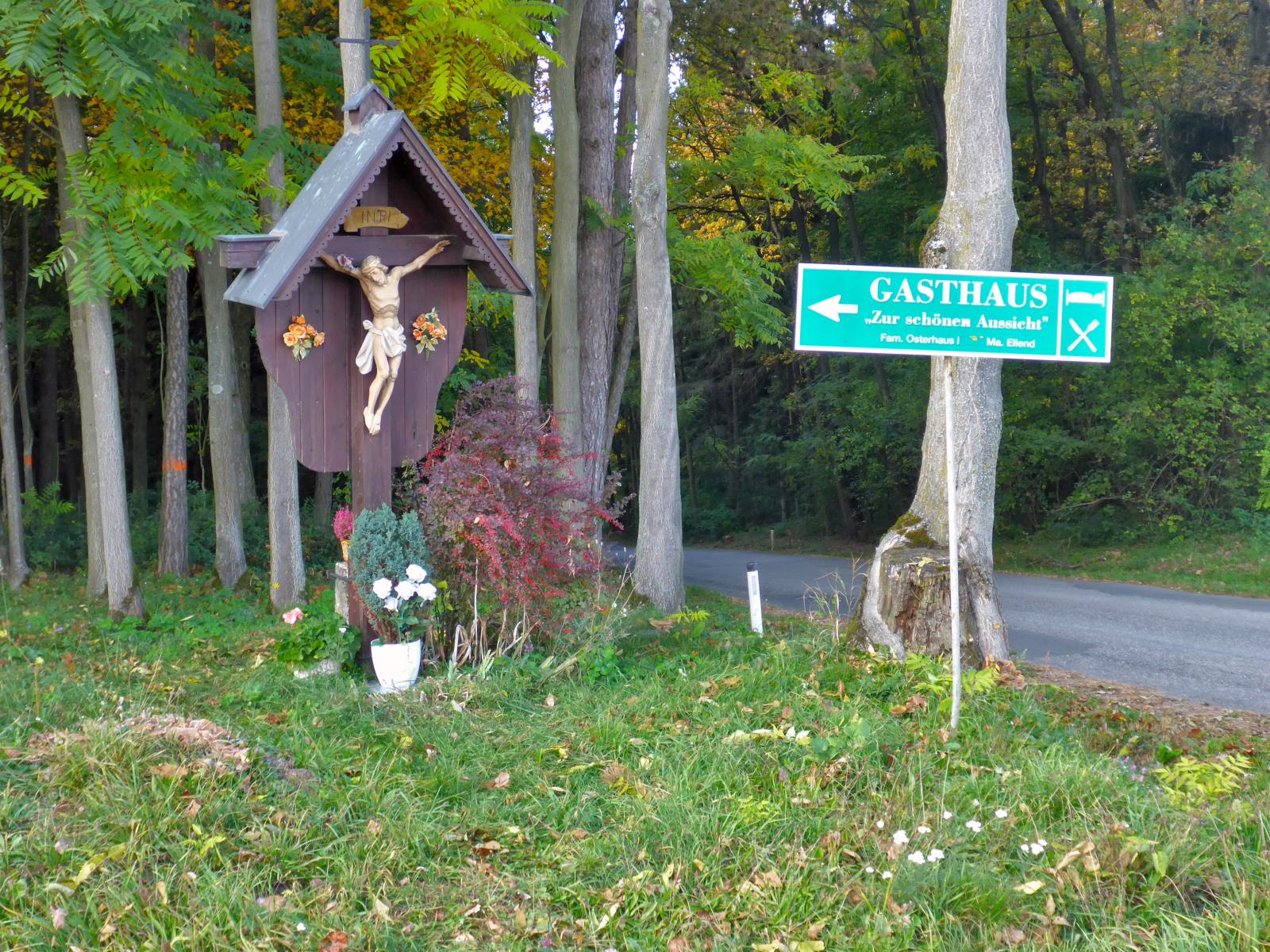 Hollenburger Wald (160 Bildaufrufe)