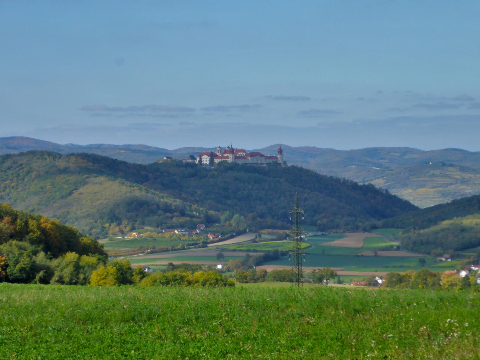 Hollenburger Wald (124 Bildaufrufe)