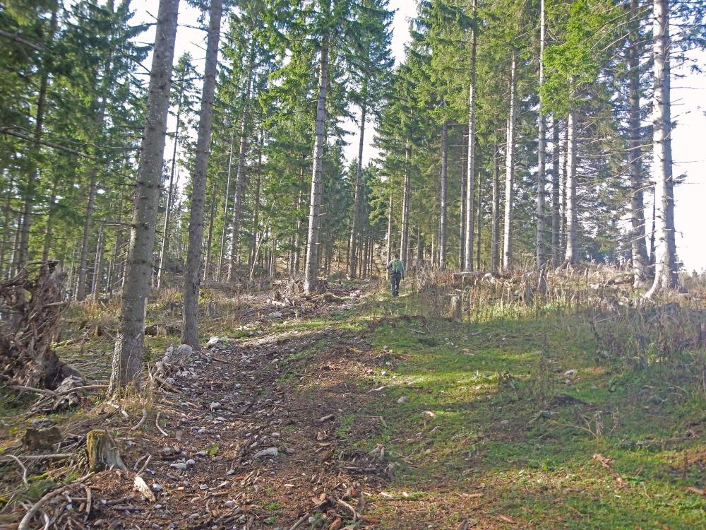 Hegerberg (206 Bildaufrufe)