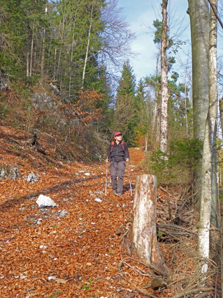 Hegerberg (229 Bildaufrufe)