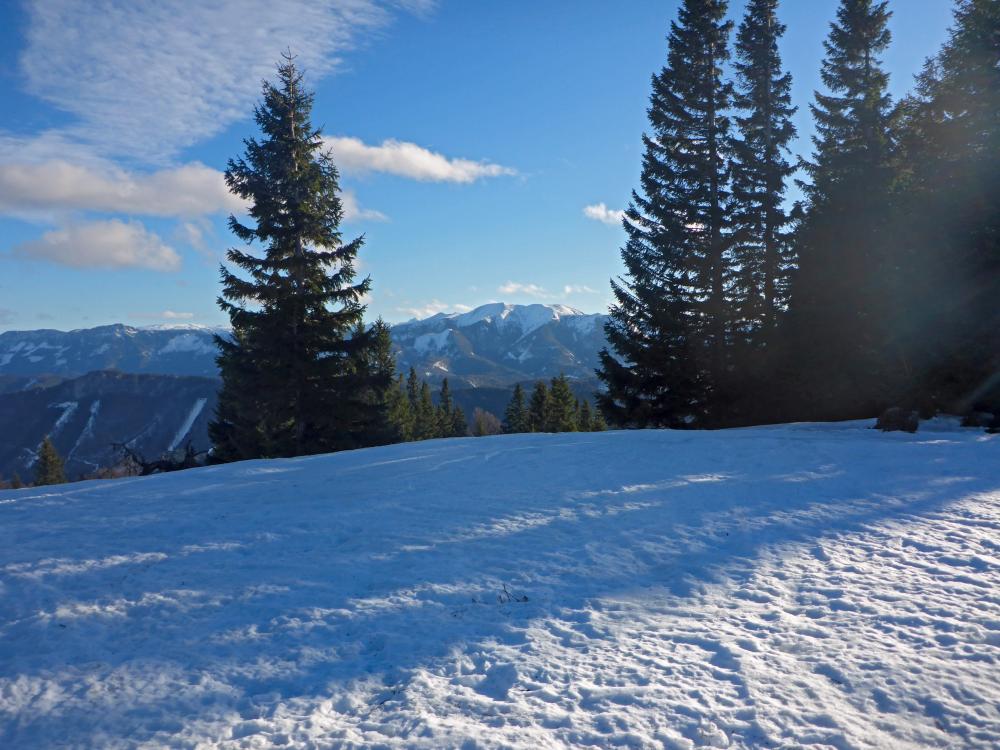 Tirolerkogel (161 Bildaufrufe)