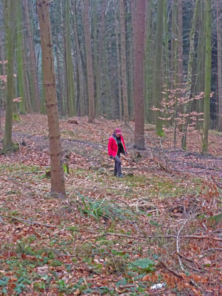 Rudolfshöhe (144 Bildaufrufe)