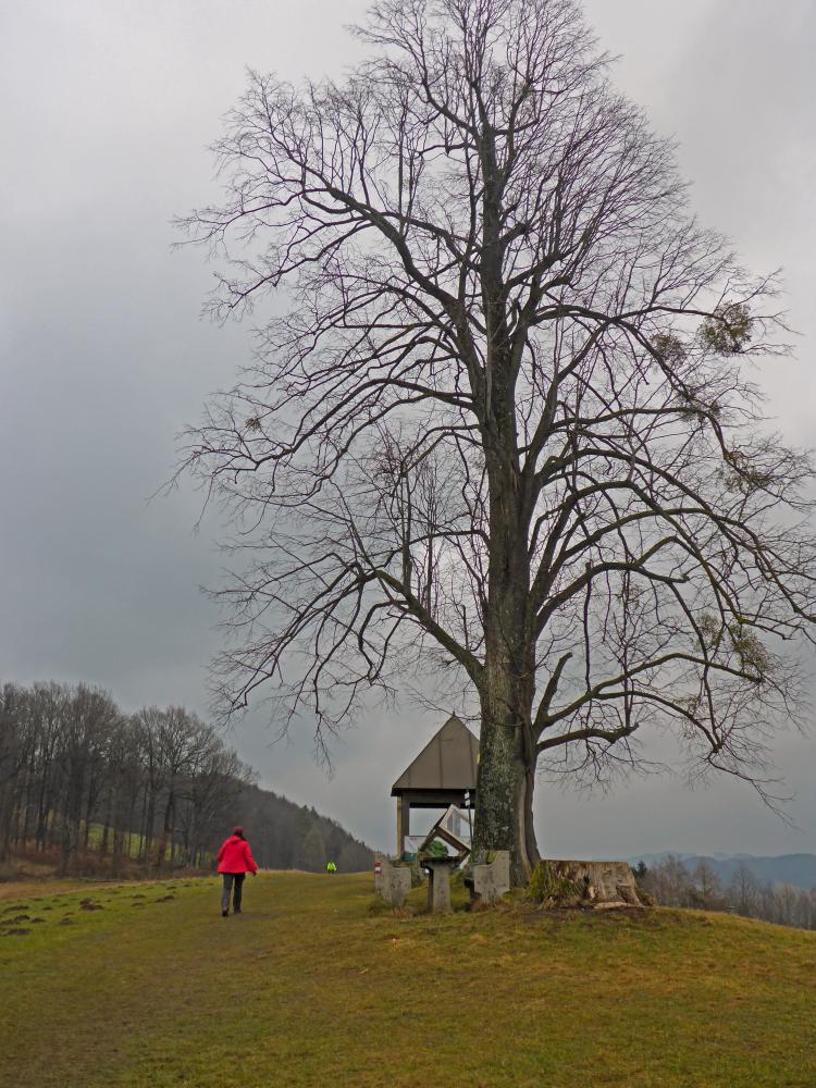 Rudolfshöhe (130 Bildaufrufe)