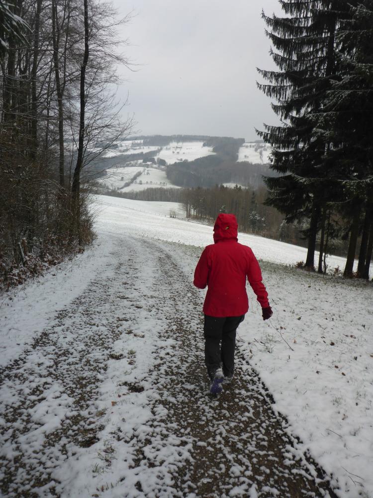 Katzelhofer Höhe (53 Bildaufrufe)