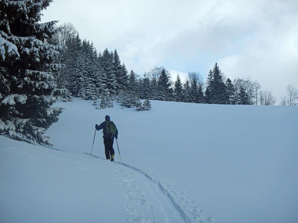 Hochstadelberg (152 Bildaufrufe)