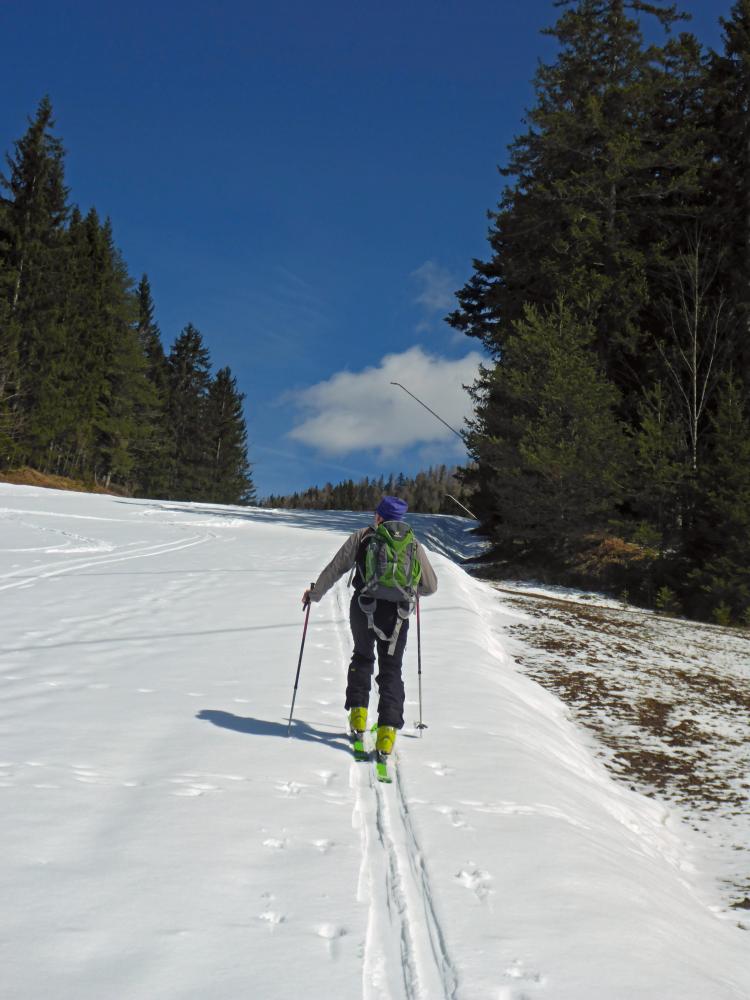 Bürgeralpe (136 Bildaufrufe)