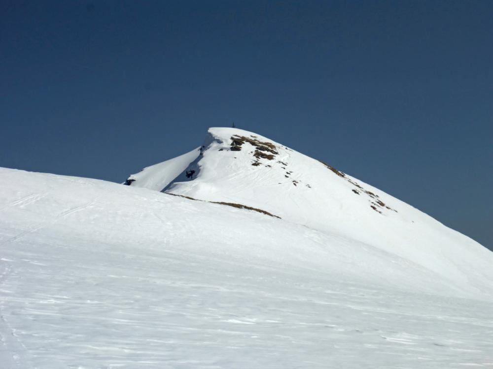 Eisenhut (112 Bildaufrufe)