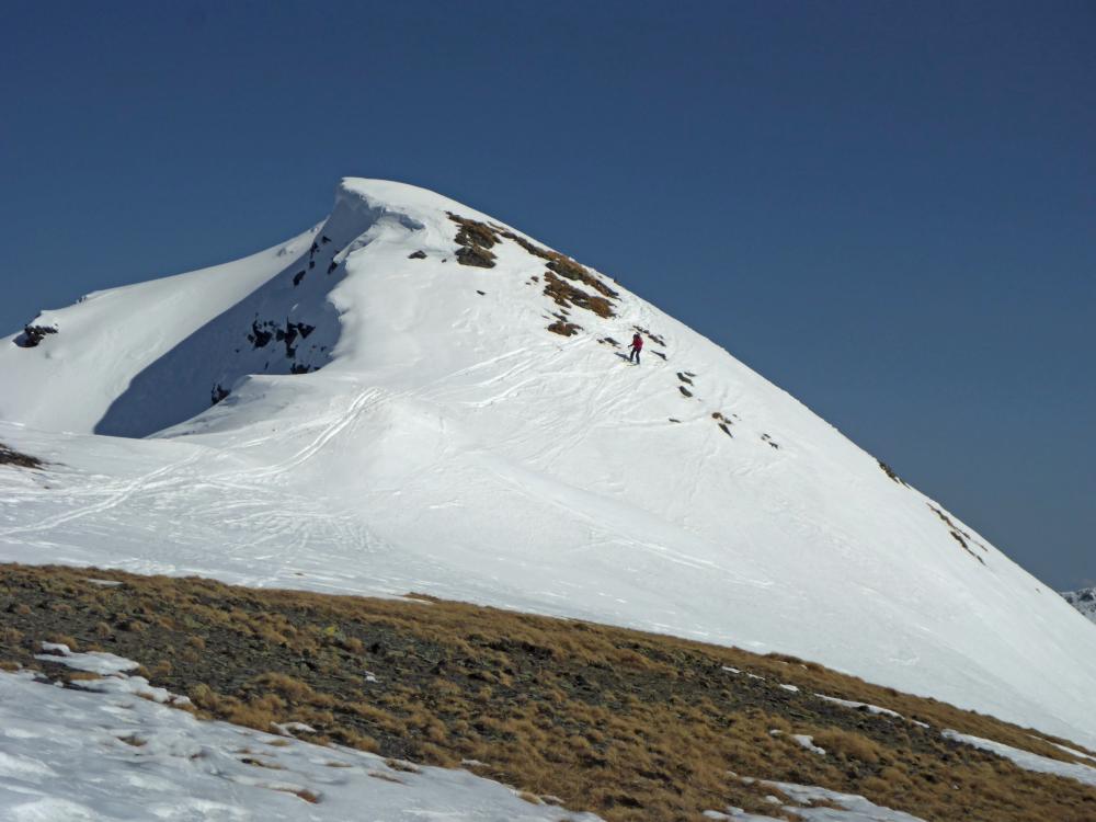 Eisenhut (104 Bildaufrufe)