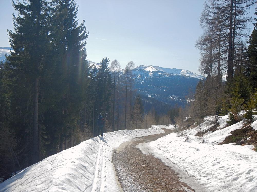 Eisenhut (121 Bildaufrufe)