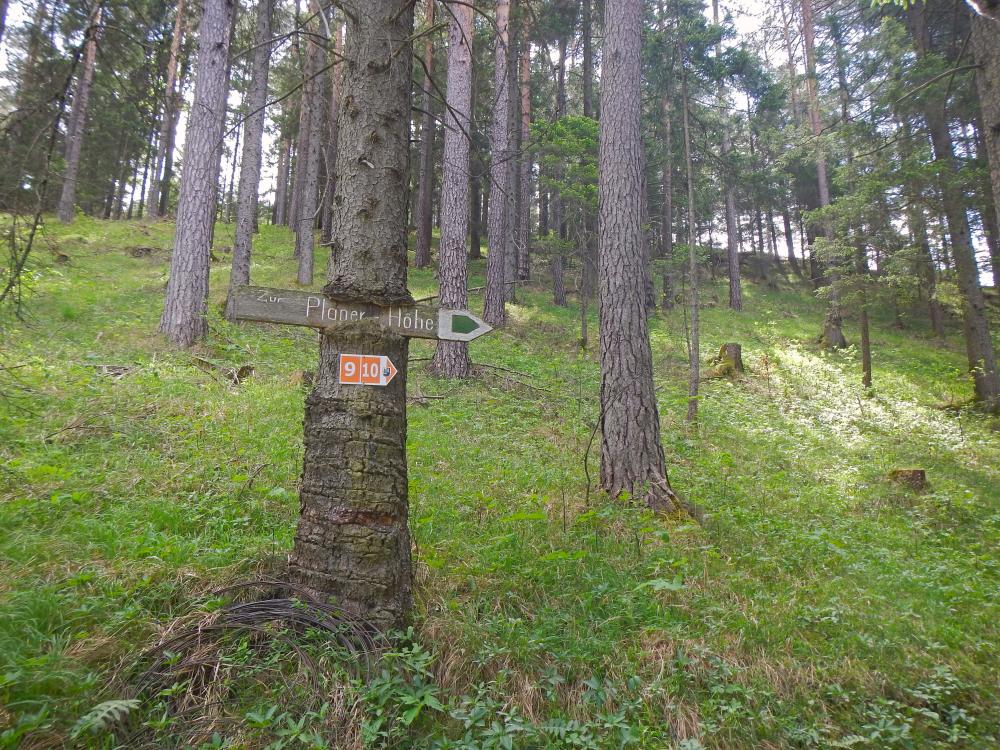 Weyerkogel (138 Bildaufrufe)