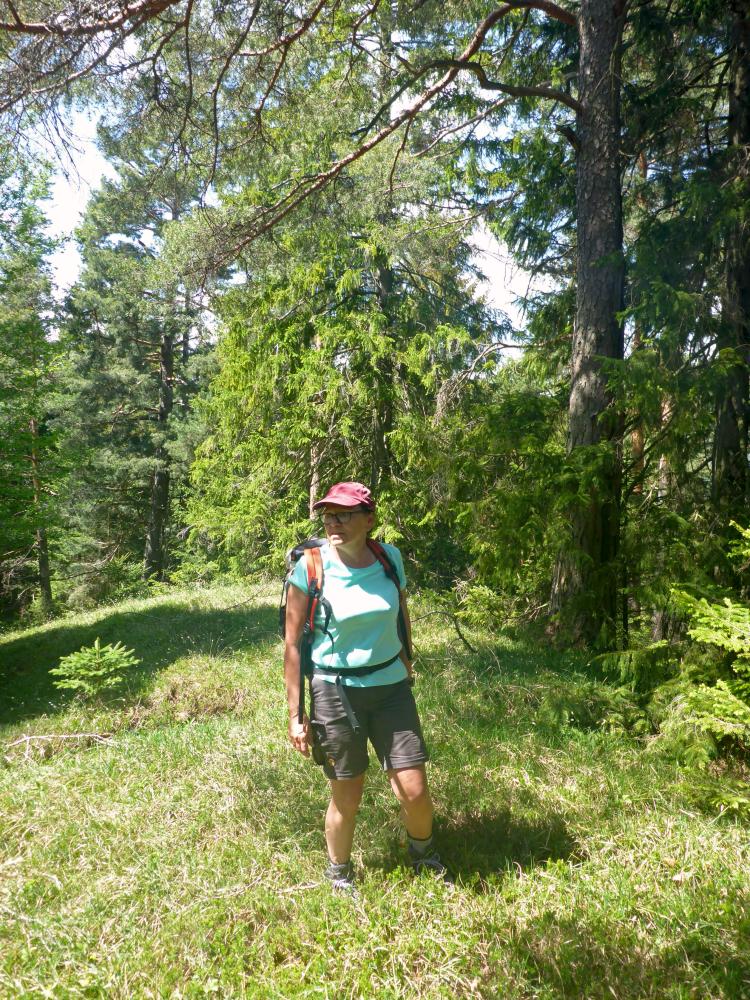 Weyerkogel (109 Bildaufrufe)