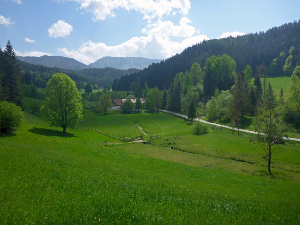 Weyerkogel (131 Bildaufrufe)