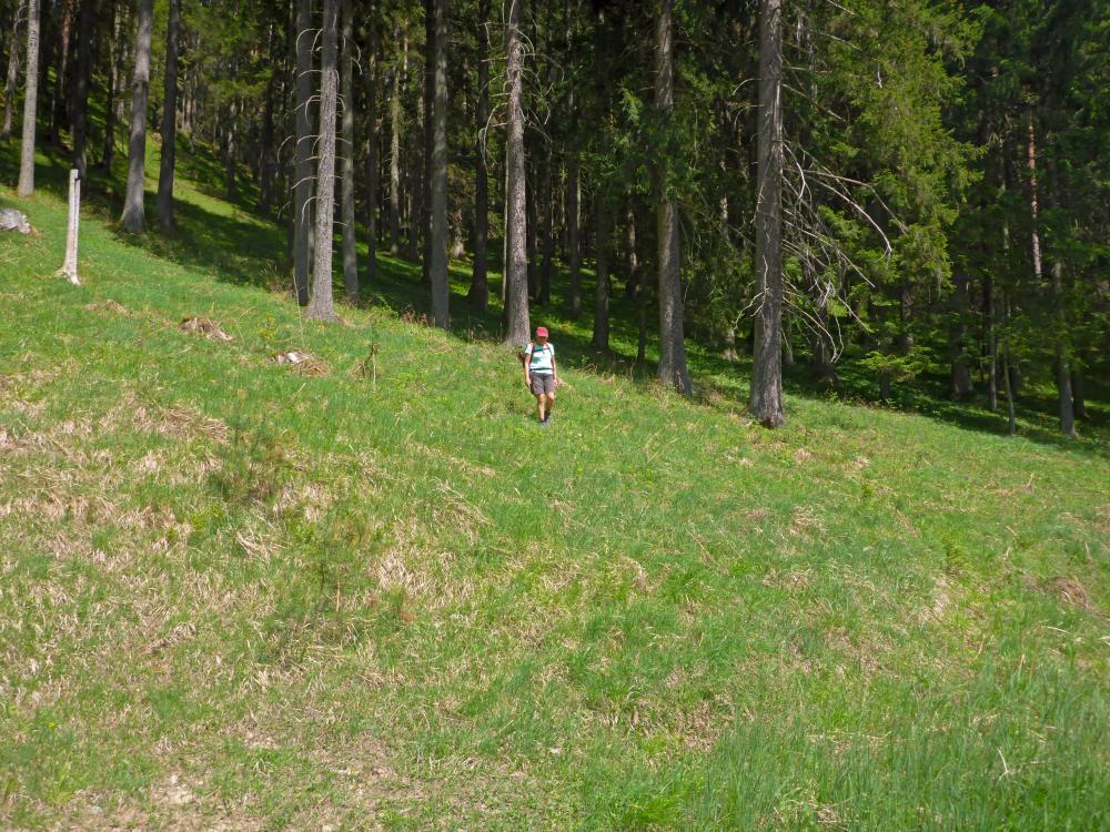 Weyerkogel (112 Bildaufrufe)
