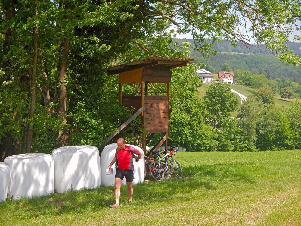 Großer Steinberg (129 Bildaufrufe)
